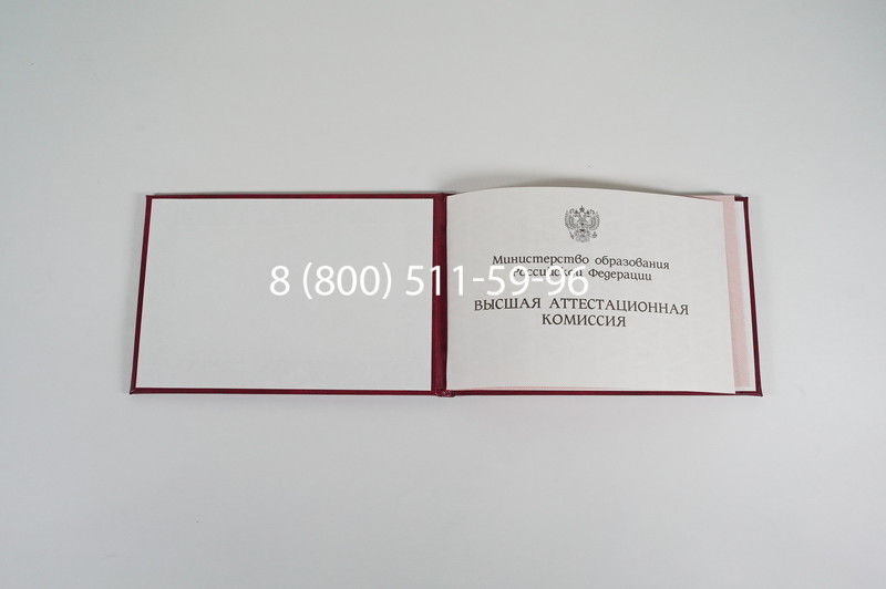Диплом доктора наук 1995-2006 года в Комсомольске-На-Амуре Диплом доктора наук 1995-2006 года в Комсомольске-На-Амуре